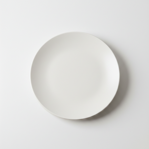 Lot d'assiettes blanches mélamine pour vaisselle de vanlife